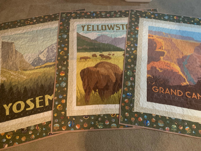 Jennifer Moore, National Parks Quilts, quilted by Barbara Selph from Sew Blessed Quilts
