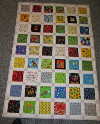 I Spy SHP Quilt by Carol Eskola